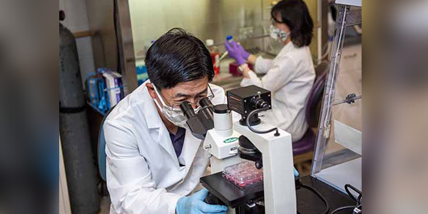 Veterinary virologists find postinfection treatment for SARS-CoV-2