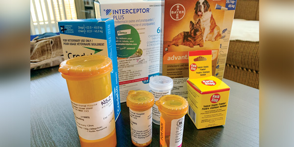 How to organize and manage pharmacy and inventory
