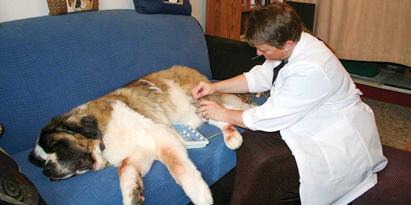 Trends in rehab equipment