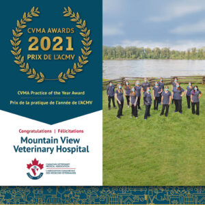 Mountain View Veterinary Hospital, winner of the CVMA Practice of the Year Award