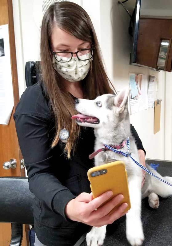 Pet owners are used to being in the exam room with their pet. Now that they may be unable to accompany their animals inside the clinic, communicating with them quickly and thoroughly might help alleviate some concerns.