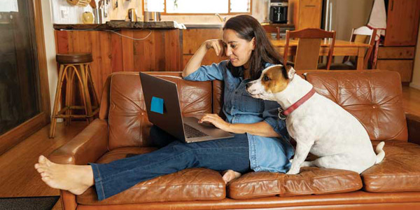 How owners influence a dog’s behavior