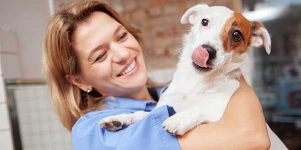 DVM $100K bonus program launched by national network