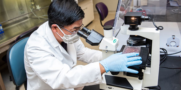 Veterinary virologists get $3.7M grant for COVID research