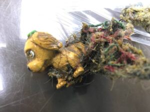 Runner-up: It really is a dog-eat-dog world