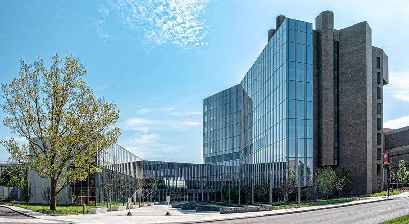 A longtime client of Cornell University Hospital for Animals (CUHA) has left his entire estate to the veterinary facility and the patients it serves. Photo by Kenneth C. Zirkel/courtesy Wikimedia Commons