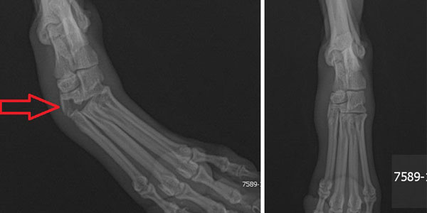 Farewell, and my best surgery advice