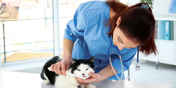 Take a bite out of dental disease and increase at-home care for patients