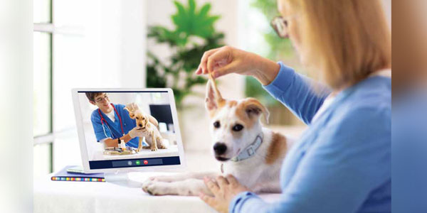 What is the future of telemedicine?