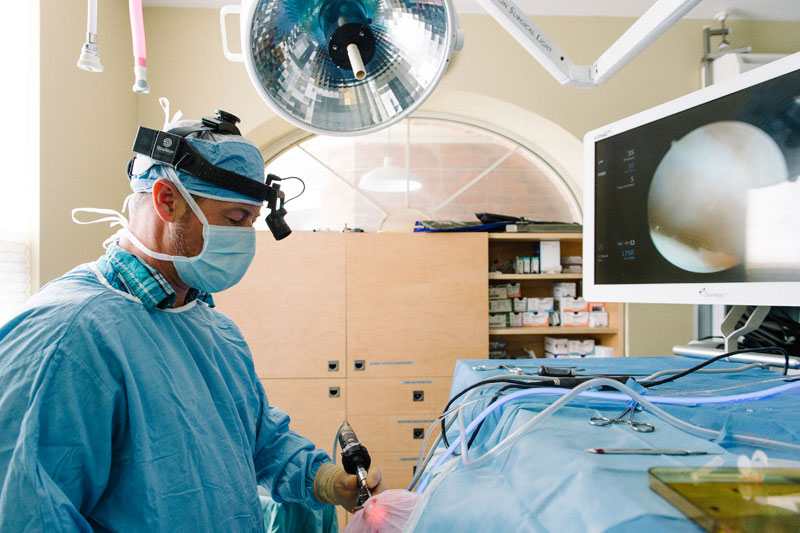 John Brajkovich, BSc., DVM, MANZCVS (small animal surgery). Photo courtesy Caledon Mountain Veterinary Hospital