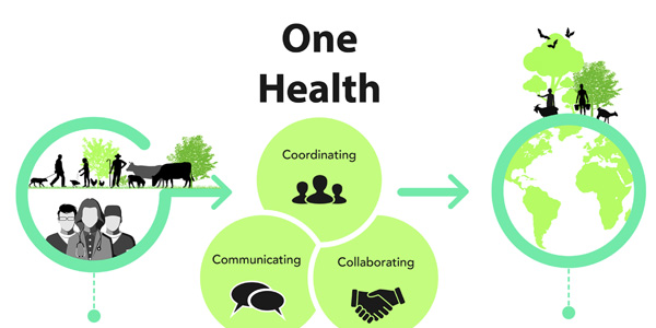 Integrative medicine from a One Health perspective