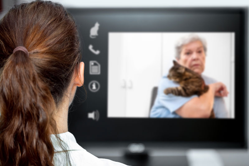 Photo ©BigStockPhoto.com In the veterinary industry, telemedicine has stood the test of time, first existing as phone calls, then emails and text, and, more recently, through video chat. Photo ©BigStockPhoto.com