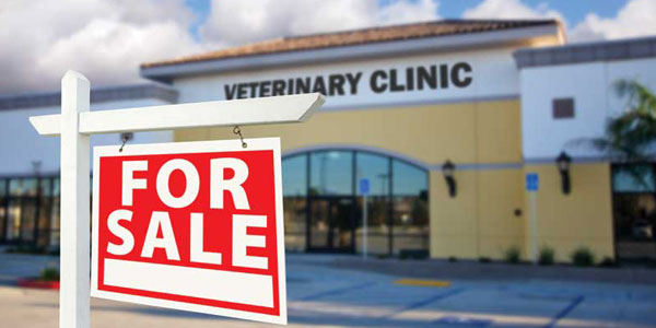 The pre-exit process to sell my practice