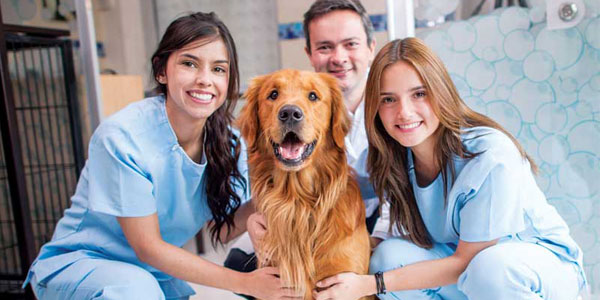 How to make Vet Tech Week a success