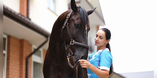 RVT transfer program aims to meet increased demand