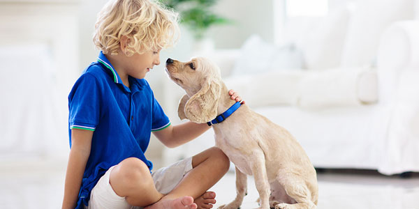Pets’ social impact for children with ADHD to be explored