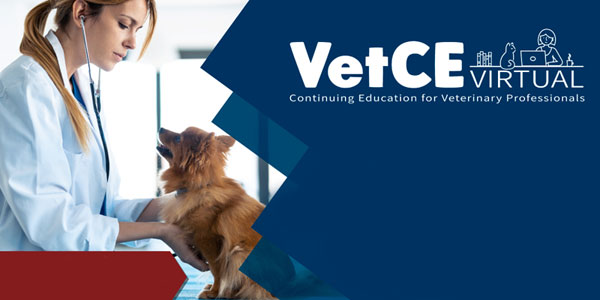 Euthanasia focus of upcoming VetCE Virtual event