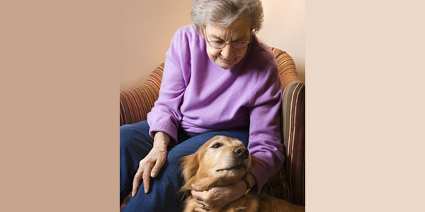 Service, support dogs require specialized DVM care