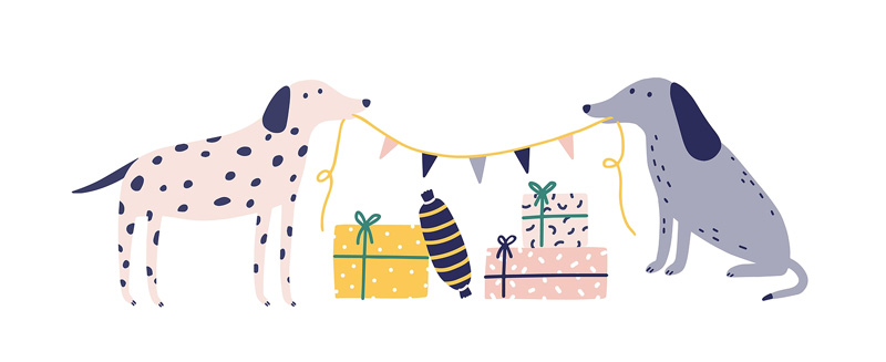 Best holiday gifts for all kinds of veterinary people