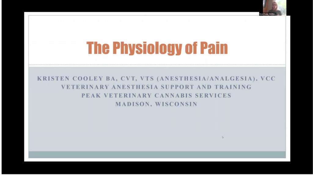Physiology of Pain