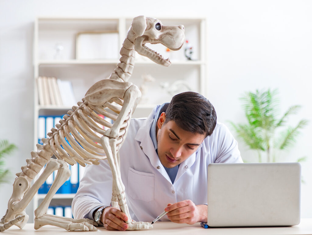 Veterinary Practice News