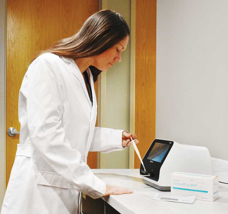 An in-clinic cardiac biomarker test kit lets veterinarians quickly identify canine or feline patients at high risk of congestive heart failure. Photo courtesy Bionote USA