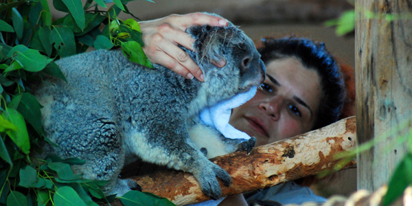 Having kids perceived as ‘hinderance’ by many women in zoology