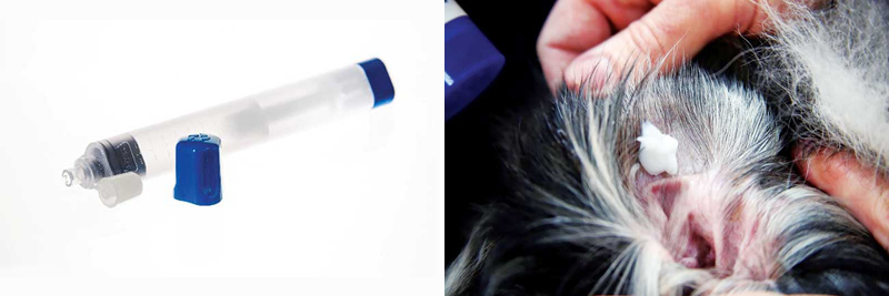 Images courtesy PCCA Science Figure 1 (left): The patented ‘Topi-Click Micro’ device with rounded applicator. Figure 2 (right): Topical delivery of a permeation-enhancing gel using an applicator device. Images courtesy PCCA Science