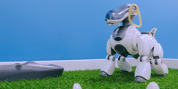 “Dr. AI will help you now”