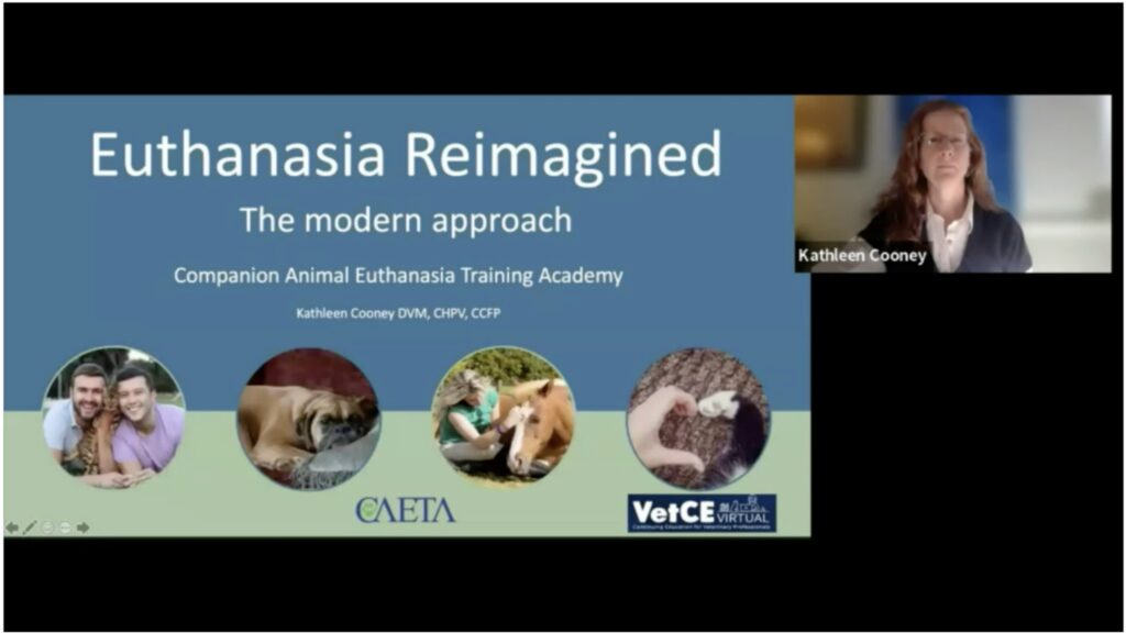 Euthanasia Reimagined: The Modern Approach
