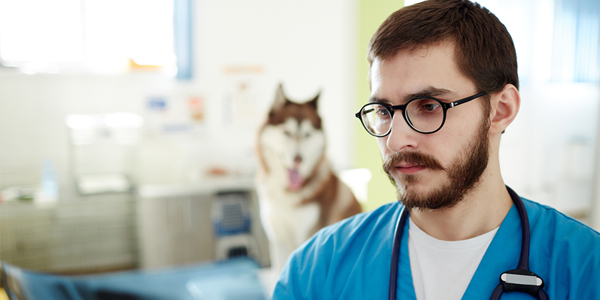 Burnout, stress plague veterinary industry amidst pandemic Burnout, stress plague veterinary industry amidst pandemic