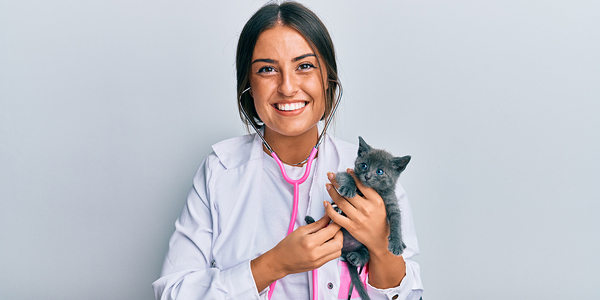 Funds available for emerging leaders in feline medicine