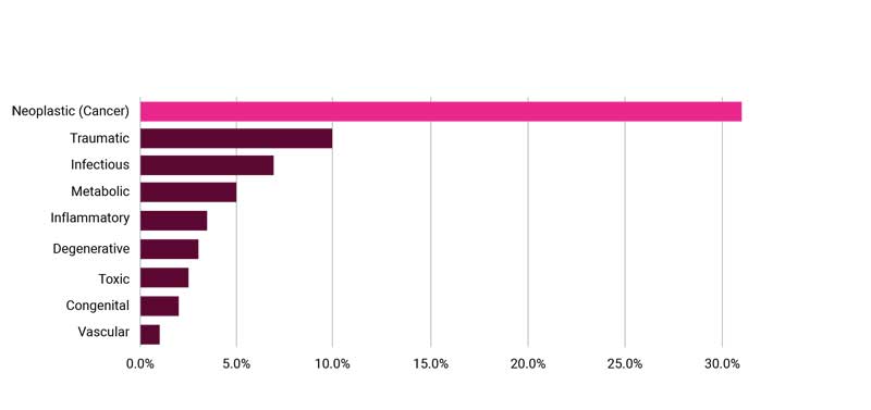 Mortality of adult dogs ≥ 1 year of age in North America (by physiological process). Cancer is by far the most common cause of mortality in dogs.1