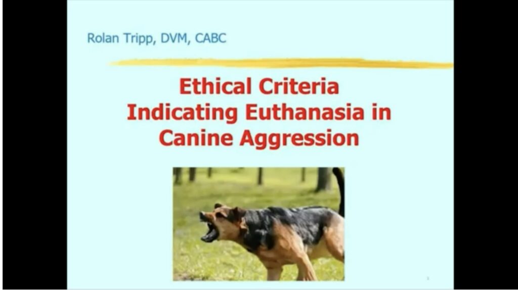 Ethical criteria indicating euthanasia in canine aggression