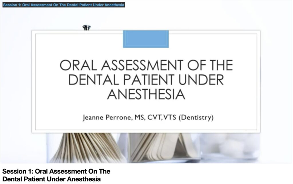 Oral assessment on the dental patient under anesthesia