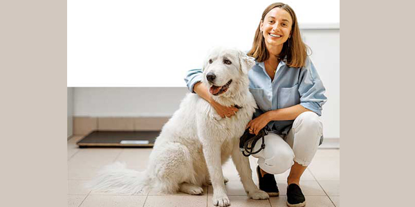 Using a holistic approach to veterinary check-ins