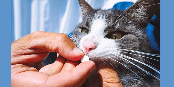 The why and when to compound medications