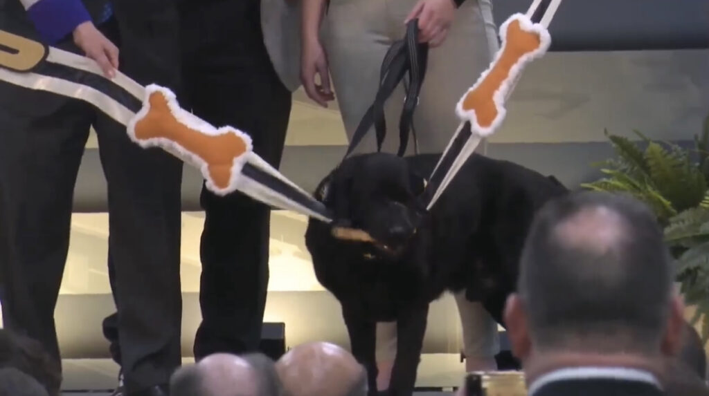 Tech Talk: Purdue’s successful approach to educating the entire vet med team