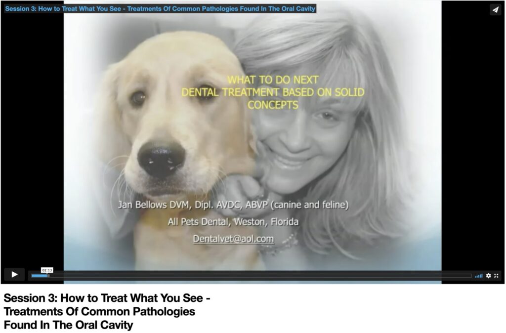 How to treat what you see – treatments of common pathologies found in the oral cavity