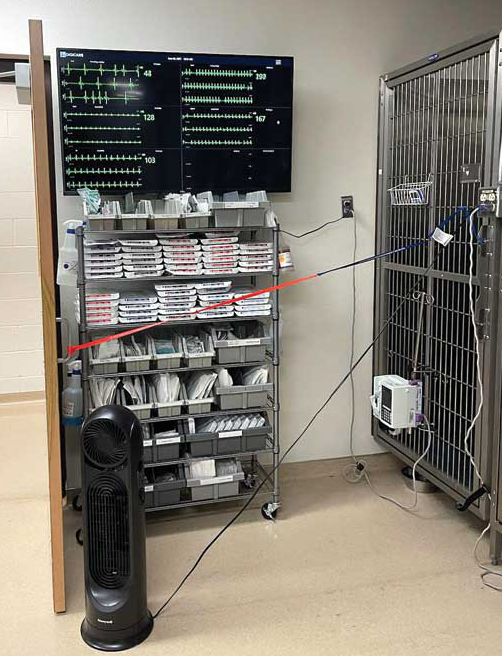 Time and resources are saved when veterinarians can view multiple patients anywhere in the clinic or even remotely. Photo courtesy Digicare Animal Health