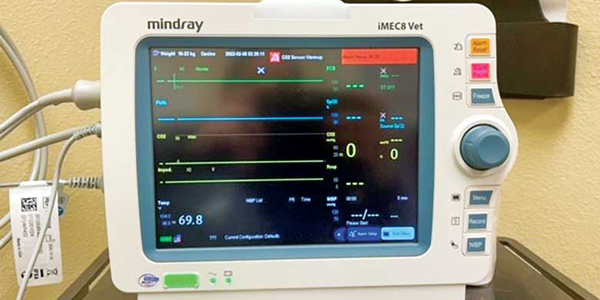 Which equipment purchase option is right for your practice?