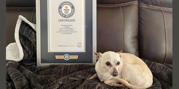 21-year-old pooch crowned world’s oldest living dog