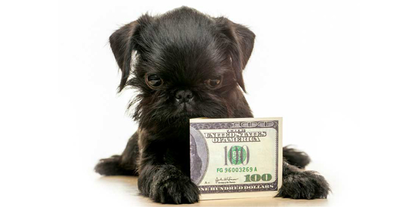 What to tell clients when you raise prices