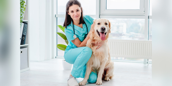 Vet school adds Fear Free to curriculum