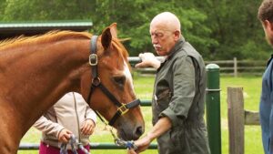 Dr. Pol examines a horse before performing some dental work.