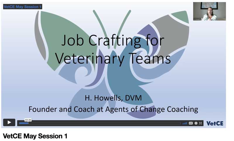 Job Crafting for Veterinary Teams