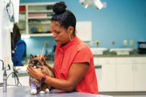 Dr. Joya Griffin is one of just four African American female veterinary dermatologists in the United States.