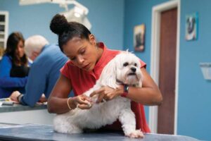 Dr. Joya Griffin understands she is a role model for many youngsters who watch her on television. She takes the notion seriously and believes mentors are important in the industry.