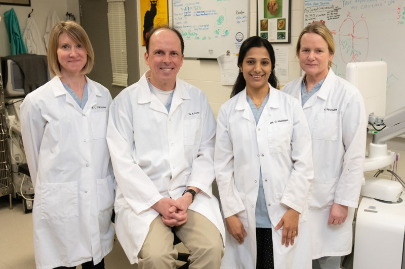 The Atlantic Veterinary College’s cardiology team (from left): Dr. Lynne O’Sullivan, Dr. Étienne Côté, Dr. Deepmala Agarwal, and Elaine Reveler, RVT. Photo courtesy UPEI
