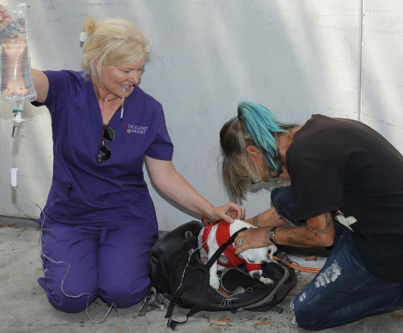 Homeless and street pets in America’s most vulnerable communities will continue to have increased access to care, food, and supplies, thanks to ElleVet Sciences. Photo courtesy ElleVet